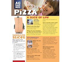 Pizza Ag Mag Mini